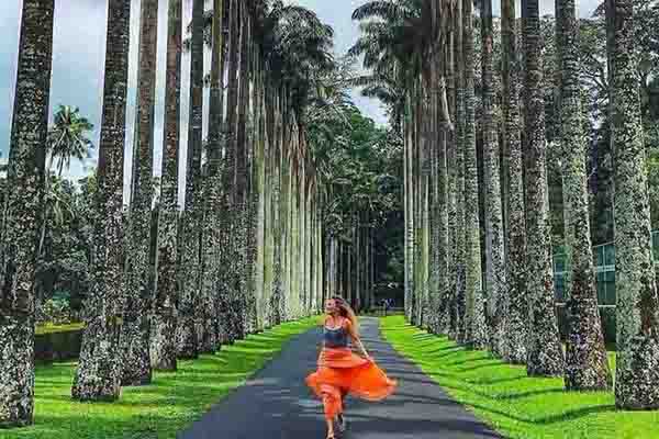 Peradeniya Royal Botanic Gardens